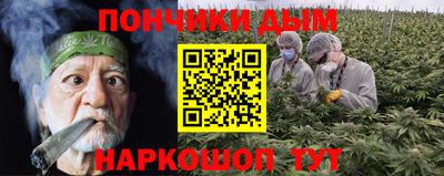 стафф Лесосибирск