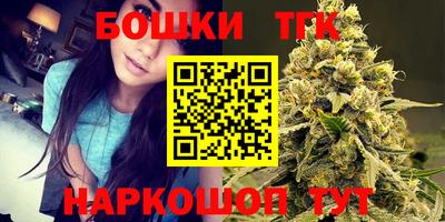 стафф Лесосибирск