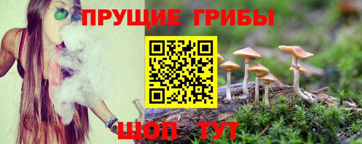 где купить наркоту  Галлюциногенные грибы мицелий  Вход с VPN  Энгельс 